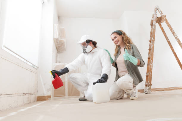 Best Commercial Mold Inspection  in San Dimas, CA
